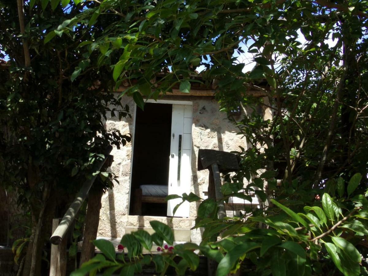 ホテルParadise Camp ナタール エクステリア 写真